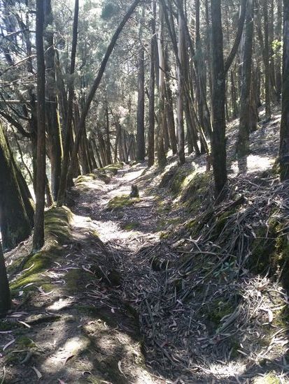 Trampelpfad zum Dottabetta laufen....verboten