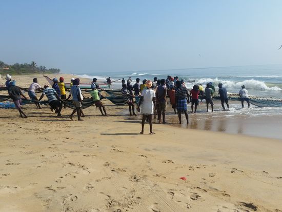 Fischer holen ein...