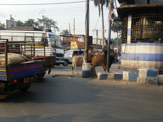 Cart road Siliguri