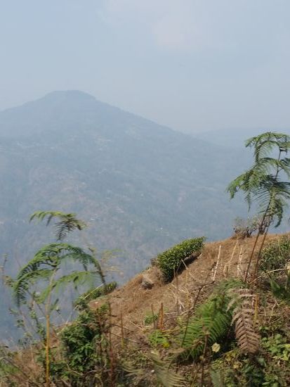 Der Vorder-Himalaja...wow