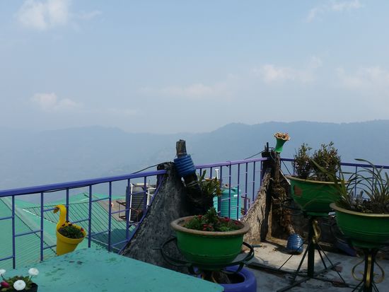 Teile meiner Dachterrasse