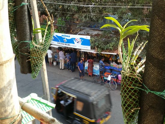 Snackbar gegenüber John's