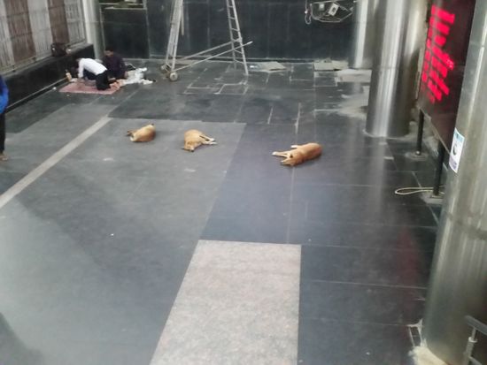 Zeit sich auszuruhen