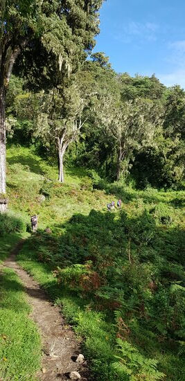 Immer weiter aufwärts