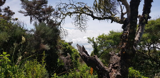 Immer wieder wie gemalte Bilder