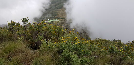 Von rechts und links kamen Wolken,wollten die Sicht auf die Saddle Huts verstellen