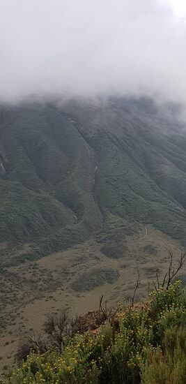 Da geht's lang morgen halbrechts der Schlängelpfad
