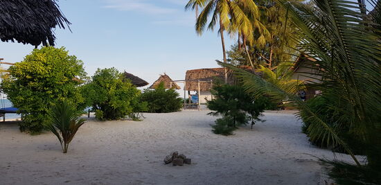 Blue Waves Bungalows