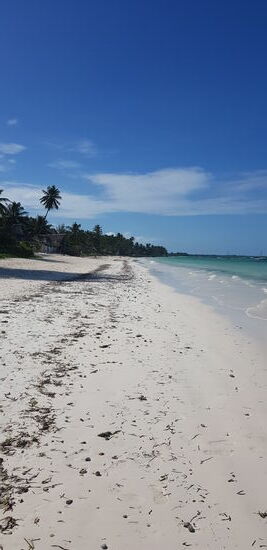 Endloser Strand von Jambiani