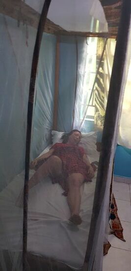 30 Grad im Zimmer,hammerlauter kleiner Ventilator,aber nur 20$/Nacht