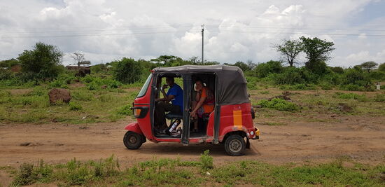 Die sind mittlerweile überall.