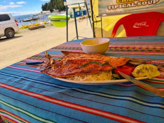 Frittierte Titikaka-Forelle, lecker!