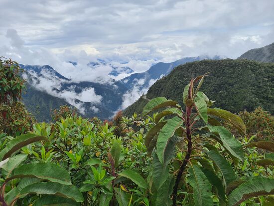 Ab hier nur noch Stock&amp;Stein
