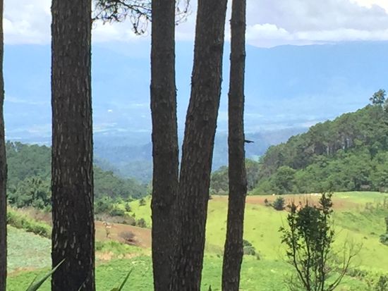 Unterwegs Richtung Mae Hong Son