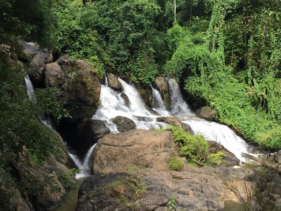 Pha Seau-Wasserfall
Luisa war riesig enttäuscht, dass sie nicht baden konnte, doch der Zugang zu den Pools unten am Fall war gesperrt, wahrscheinlich wegen der Regenzeit und dem vielen Wasser.