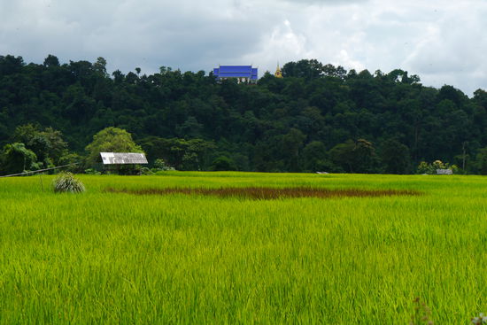 nahe an der laotischen Grenze
