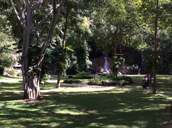 Mittagsrast im Phus Sang-NP