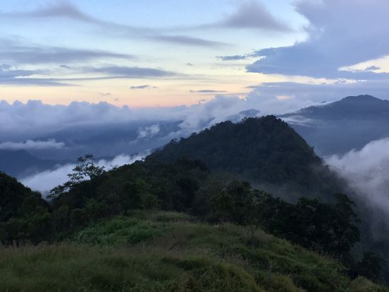 Morgenstimmung auf dem Phu Chi Fa