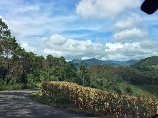 Das könnte auch im Emmental sein, oder?!
