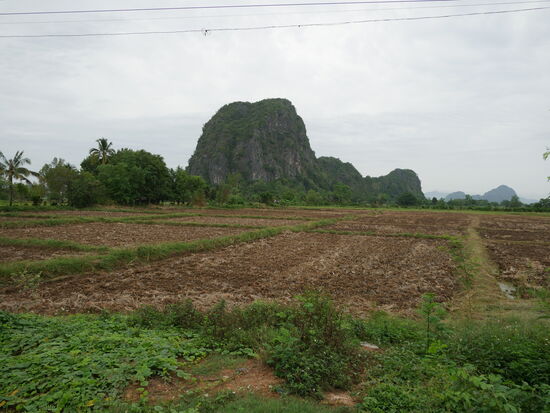 DIe Felder hier warten noch darauf, angepflanzt zu werden. Die Erde ist vielerorts rostrot, z. T. aber auch grau oder auch mal dunkelbraun. Es fällt auf, dass in dieser Gegend die Felder grundsätzlich nicht so steinig sind wie bei uns in der Schweiz.