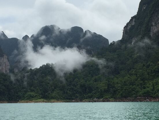 Zwischendurch regnet es, und dann dampft es aus den Wäldern.