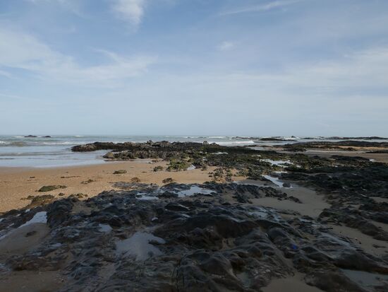 Heute morgen um ca. 8.15 Uhr - ein letzter Strandspaziergang...