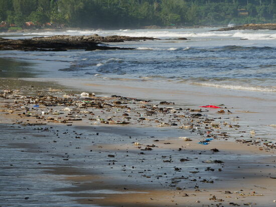 Nach den Stürmen der letzten Tage bleibt so einiges liegen. Leider wird nicht überall geputzt.