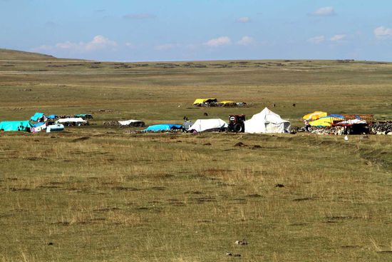 Nomaden auf den Sommerweiden