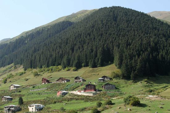 Lieblich Almenlandschaft