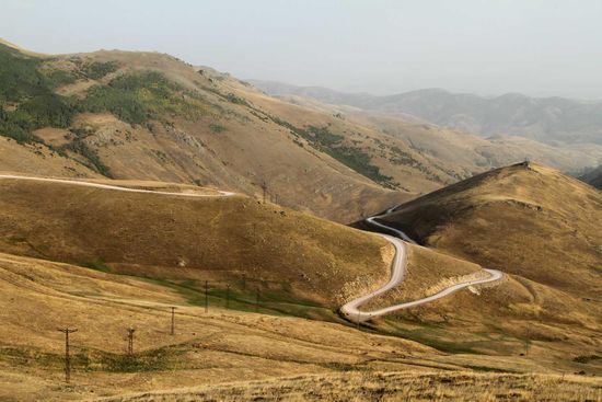 Überraschung am Abend