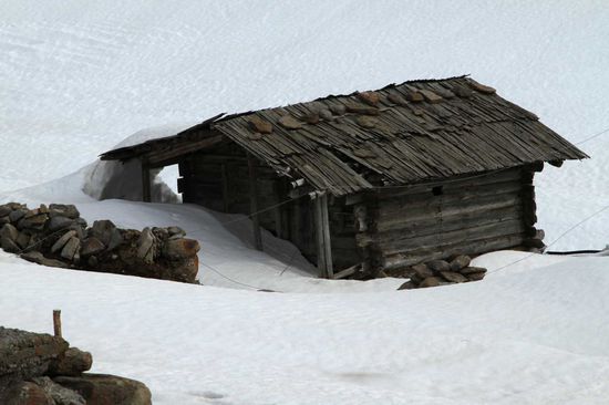 Noch im Schnee versunken