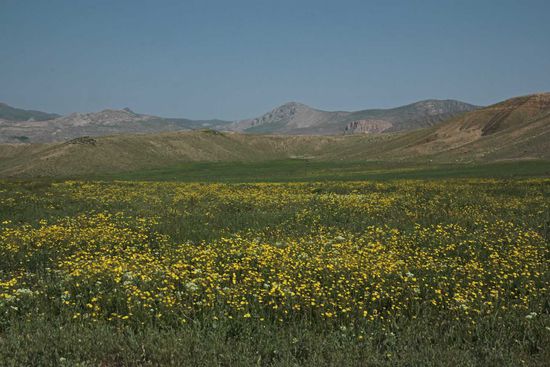 Herrliche Wiesen- und Berglandschaft