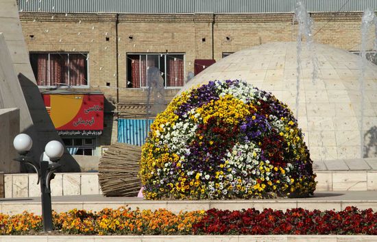 Überdimensionaler Strauß aus Stiefmütterchen