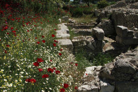 Eingebette in ein Blütenmeer liegen die Ruinen von Alexander Troas