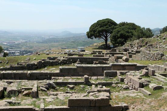 Unter den Bäumen liegt das Stufenfundament des Zeus-Tempels