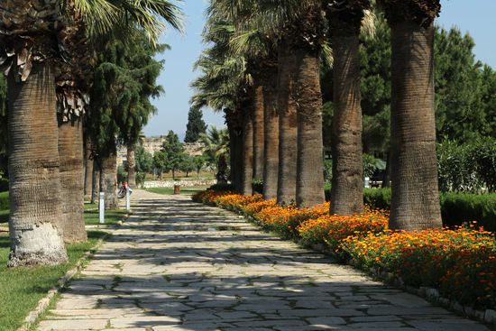 Weg durch die Parkanlage zu den Sinterterrassen