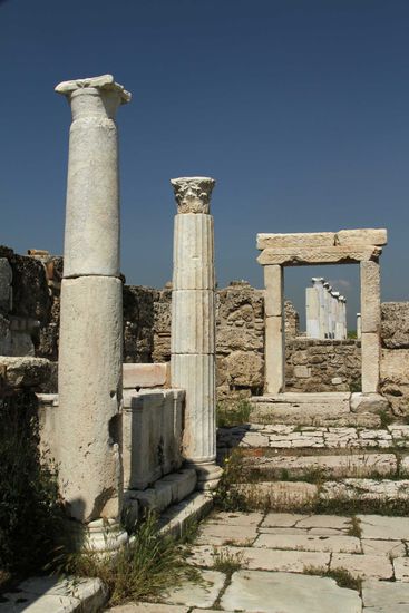 Clubhaus der Grünen