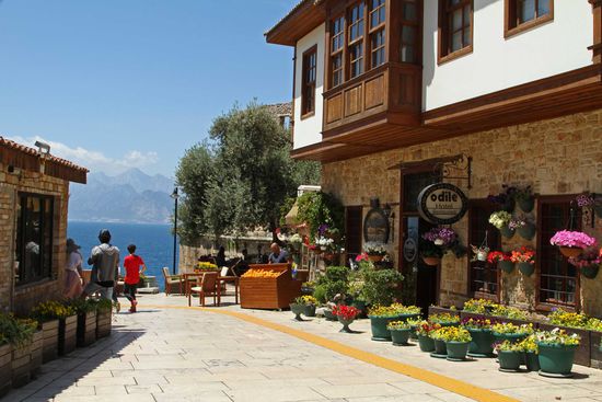 und einem Blumenmeer