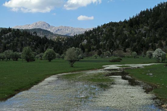 Für dieses Foto sind wir im Graben gelandet