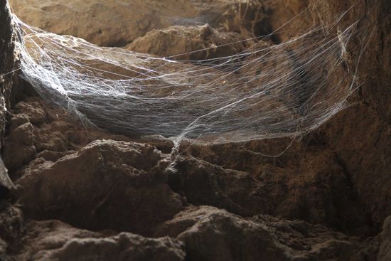Hier wurden schon länger keine Spinnweben mehr gefegt