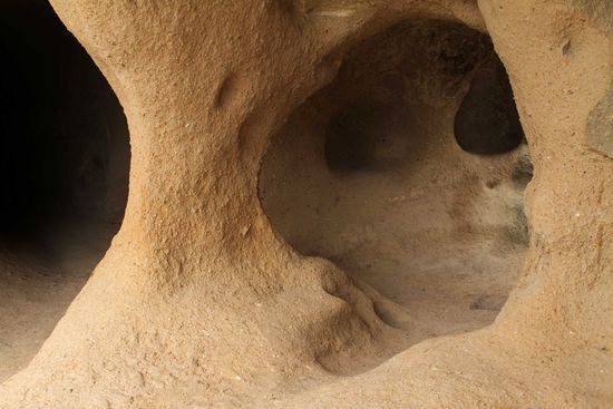 Bezaubernde Formenvielfalt