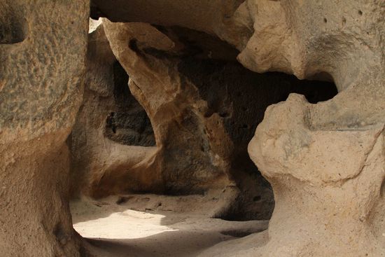 Bezaubernde Formenvielfalt