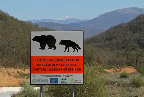 Vorsicht: Etwas größere Wildtiere könnten kreuzen