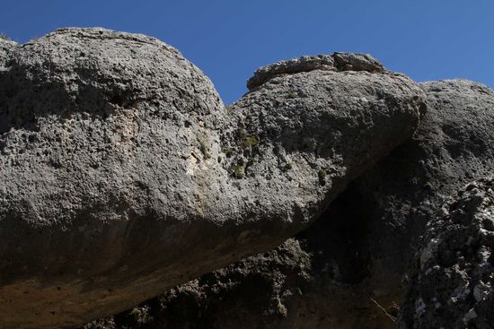 La Tortuga - die Schildkröte