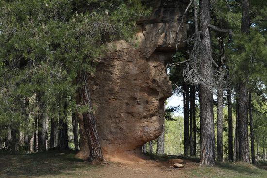 La Cara del Hombre - Männliches Gesicht
