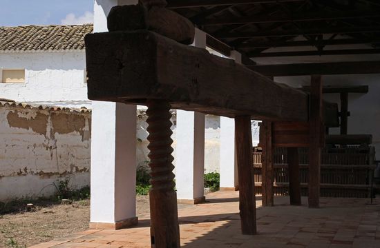 Museo Casa de Dulcinea - Ölpresse