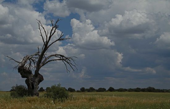 Zudem zieht abends noch ein Gewitter auf