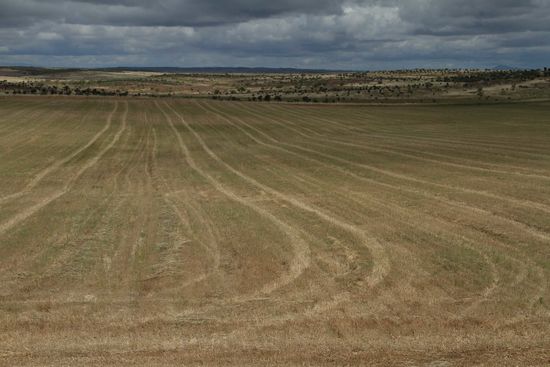 Riesige abgeerntete Kornfelder
