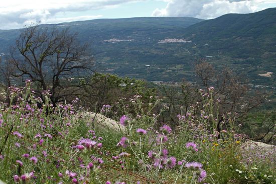 Valle de Jerte - Tal der Kirschen