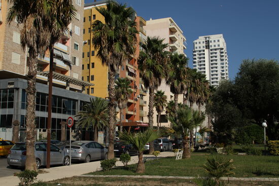 Durres - Palmen flankieren die Uferstraße
